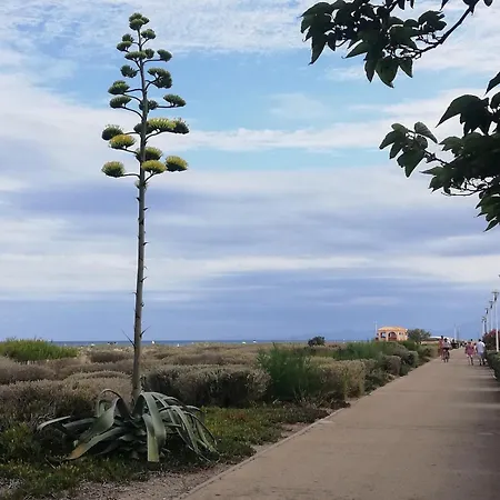 Vue Et Montagne, Acces Direct Leucate